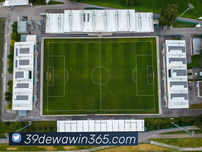 开云官网APP 体育赛事宣传图